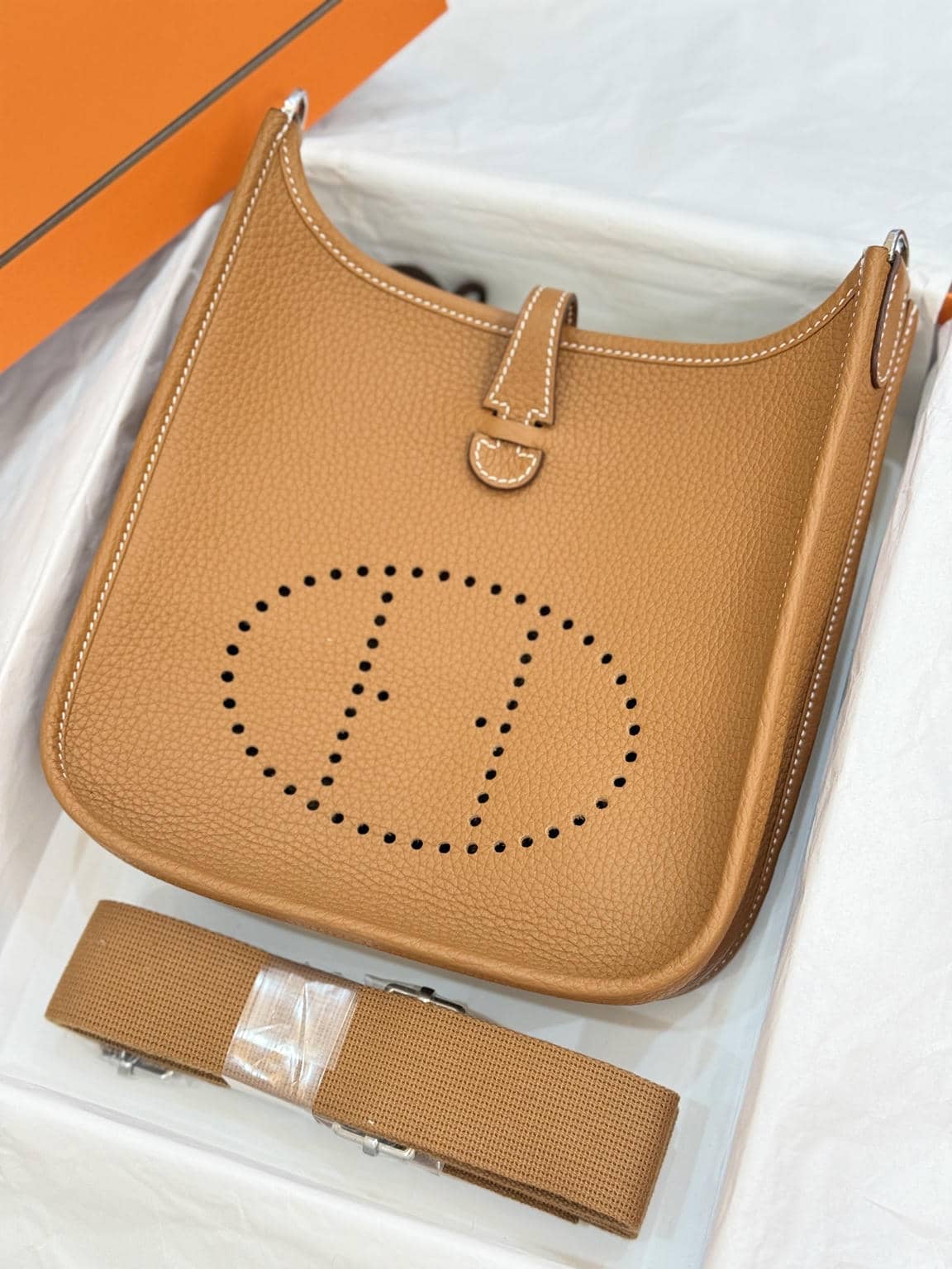 Evelyne23cm